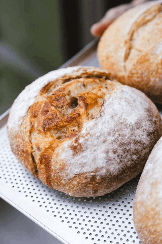 Pães artesanais da Therê